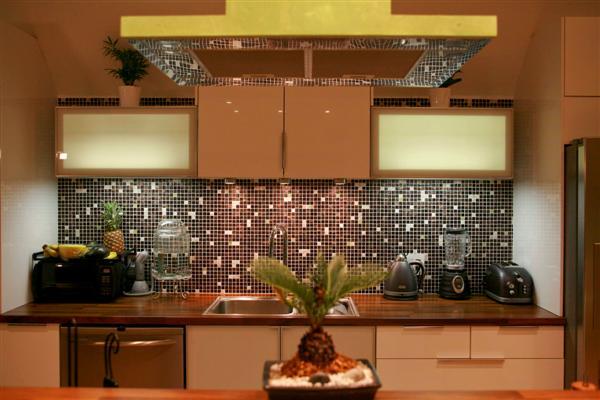 kitchen remodeling contractor